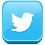 icon-twitter